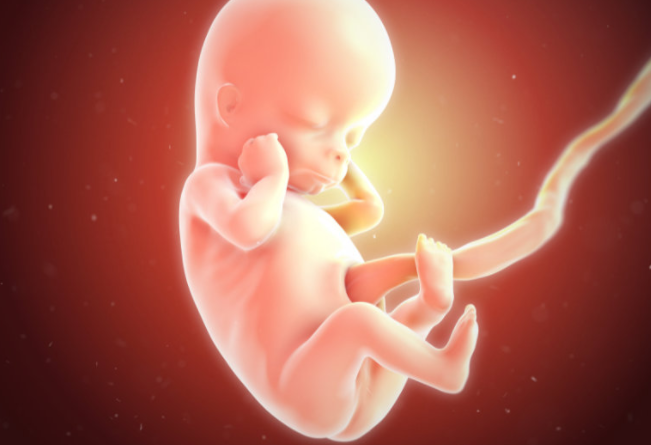 BREAKING: Abortion Bombshell SIGNED – It’s Really Happening