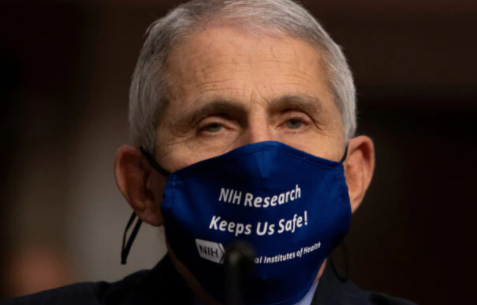 BOMBSHELL: Dr. Fauci and His Cronies Took Tens of Millions in Secret Payoffs